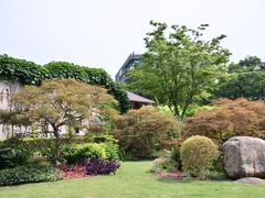 -嘉定紫藤园
