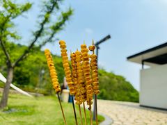 -冶父山国家森林公园