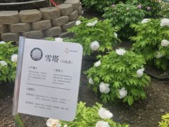 -太阳宫公园