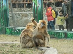 -西安秦岭野生动物园