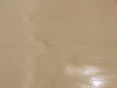 -马奴干岛