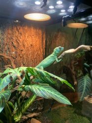 -酷嗒动物文化乐园(cutezoo西溪乐天城店)