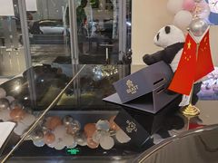 -刘健艺术钢琴学校·专注钢琴教育25周年(徐家汇校区)