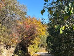 -北京西山国家森林公园