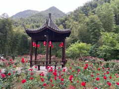 -四明山国家森林公园