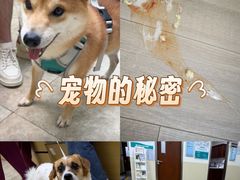 -美联众合动物医院·24h转诊中心