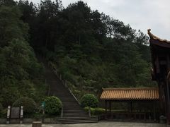 -铁山坪森林公园