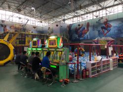 -爱丽丝奇幻乐园