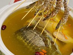 -金龙·打边炉(南京西路店)