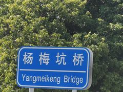 -杨梅坑