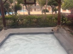 -庐山上汤温泉度假村