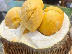 -都念榴莲·城市榴莲