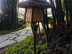 -桤木河湿地公园