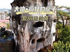 -疯狂屋