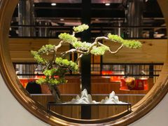 -山之屋炭火烧肉·生啤畅饮(大朗万科中央公园店)