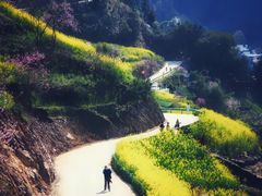 -石潭村