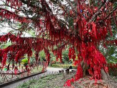 -墨江北回归线标志园