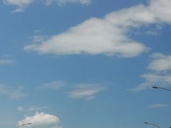 -北京群众马术培训基地