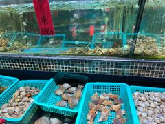 -海大大蒸汽海鲜餐厅·粤菜·特色小炒(欢乐颂店)