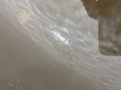 -天津君隆威斯汀酒店