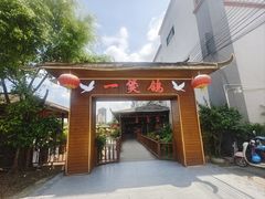 -一煲鸽