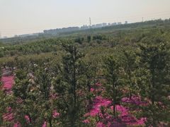 -南通洲际绿博园