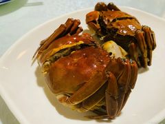 -呼吸森林·生态农庄农家乐私房菜