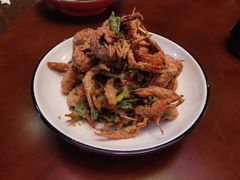 -虾弄弄海派小龙虾·牛羊蝎子火锅