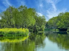 -西溪国家湿地公园