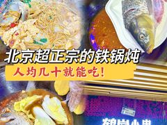 -桦春鹤岗小串·东北铁锅炖(左家庄店)