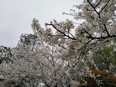-堤角公园