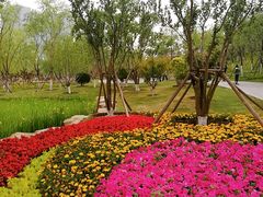 -西海子公园
