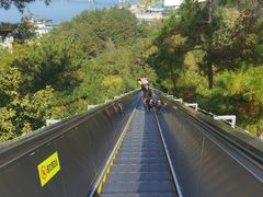 -千岛湖天屿景区