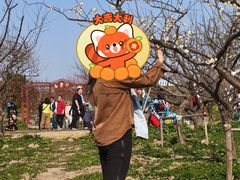 -上海海湾国家森林公园