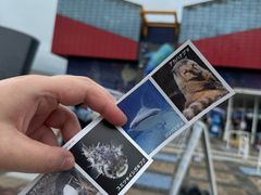 -大阪海游馆