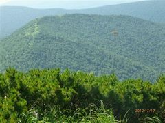-凤凰山国家森林公园