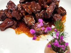 -丁老爷子苏香圆