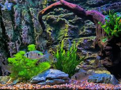 -上海海洋水族馆