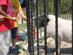 -上海滴水湖皇冠假日酒店