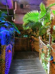 -恐龙探索乐园(磁器口店)