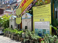 -猫咪博物馆(顶澳仔猫街店)