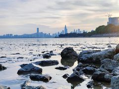 -深圳湾公园(南山区)