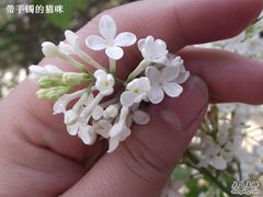 -西安青龙寺遗址景区