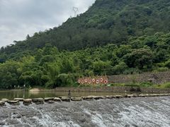 -芦茨金富饭庄·25年老字号·专做稻草鸡