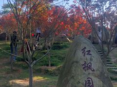 -广州市帽峰山景区