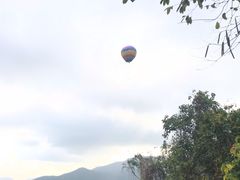 -呀诺达热带雨林