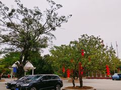 -罗浮山嘉宝田森林温泉度假酒店