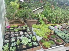 -无锡文化工艺品市场(槐古路店)