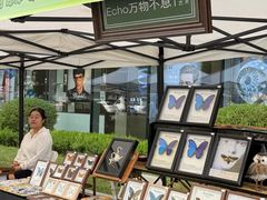 -东北大学附属辽宁爱尔眼科医院