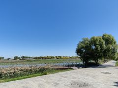 -天津东丽湖风景区